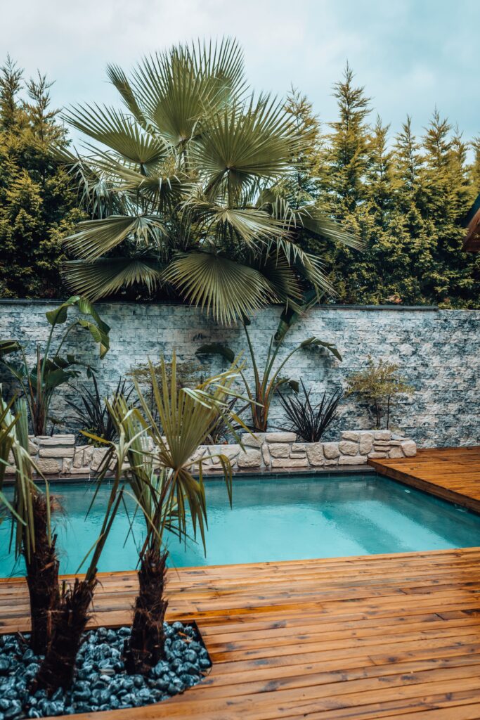 Small residential swimming pool surrounded by palm trees on a wood deck (illustrative stock photo, not a Watermark job)